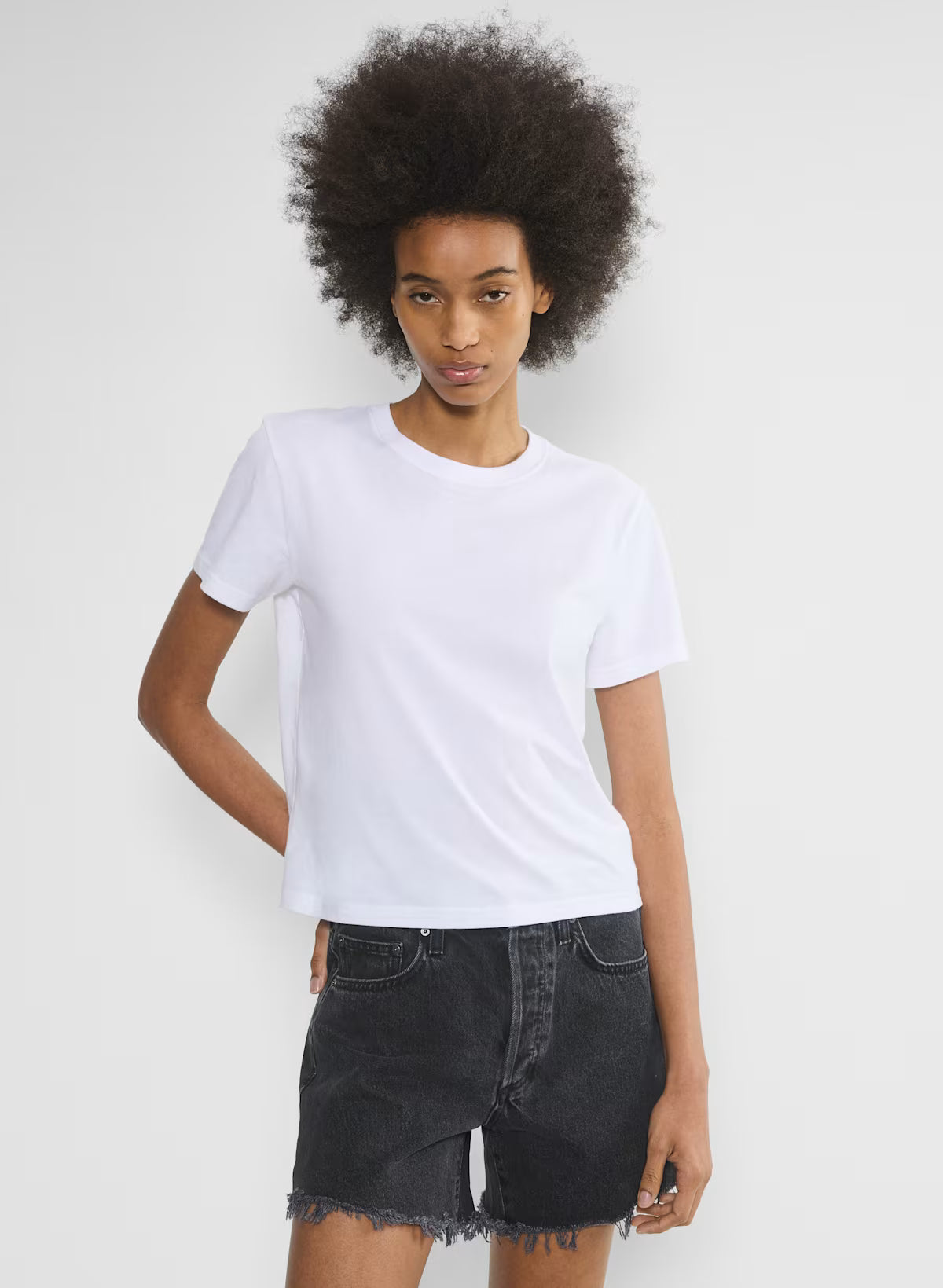 Vance Denim Shorts